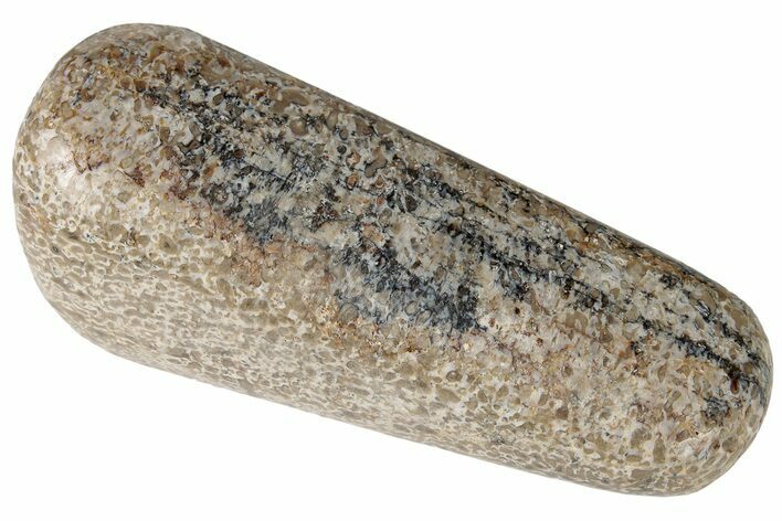 Polished Dinosaur Bone (Gembone) - Morocco #190007